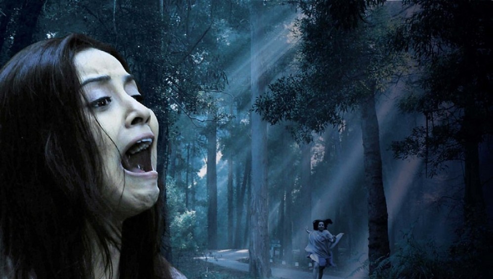 Xem Phim Haunted 3D (Bức Tranh Bí Ẩn) (2011),  2011