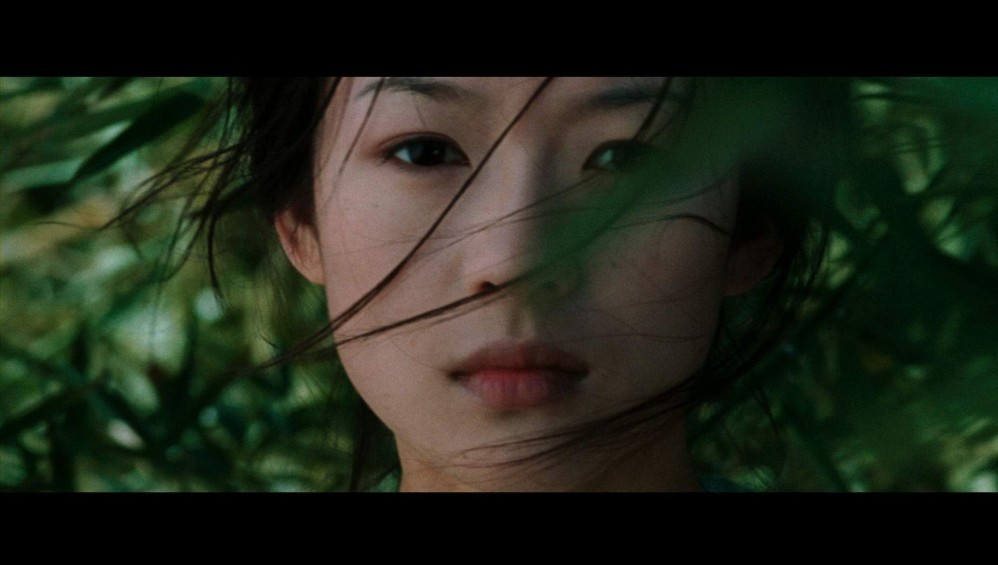 Xem Phim Crouching Tiger, Hidden Dragon (Ngọa Hổ Tàng Long) (2000),  2000