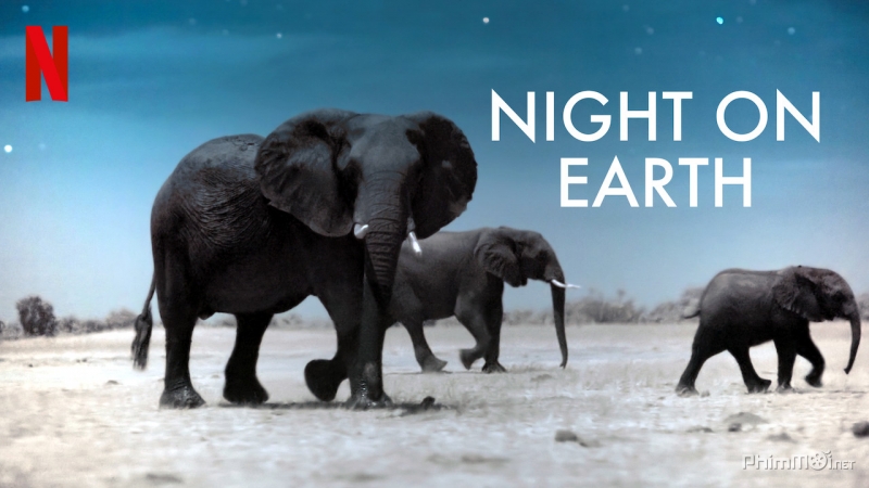 Xem Phim Màn Đêm Trên Trái Đất (Phần 1), Night On Earth (Season 1) 2020