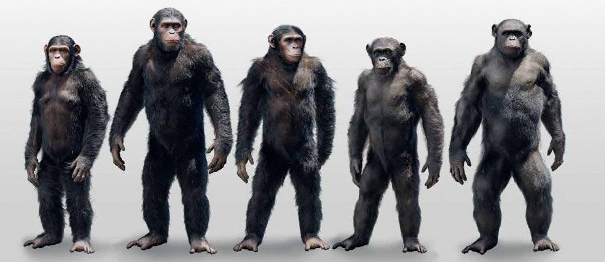 Xem Phim Sự Khởi Đầu Của Hành Tinh Khỉ, Dawn of the Planet of the Apes 2014‏