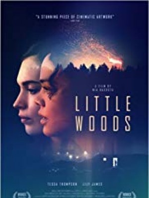 Little Woods