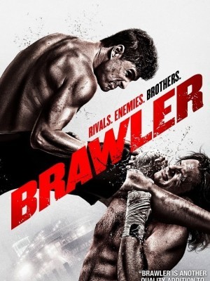 Võ Đài Thù Hận (Brawler) (2011)