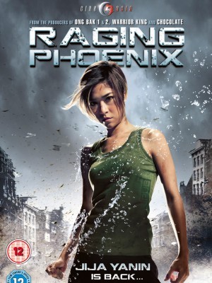 Raging Phoenix (Phượng Hoàng Nổi Giận) (2009)