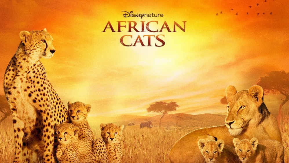 Xem Phim African Cats (Những Chú Mèo Châu Phi) (2011),  2011